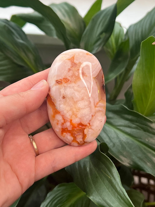 Carnelian Flower Agate Palm Stone