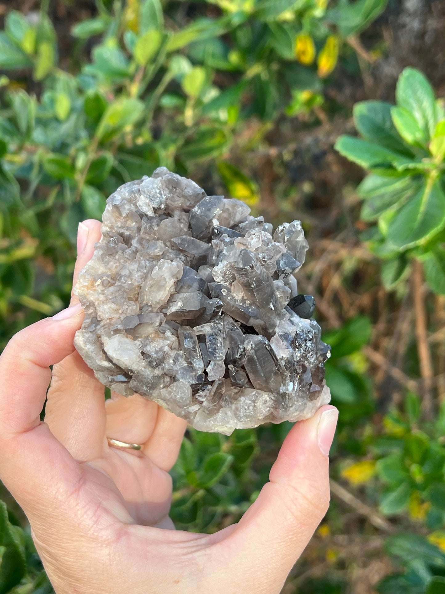Smokey Quartz Cluster