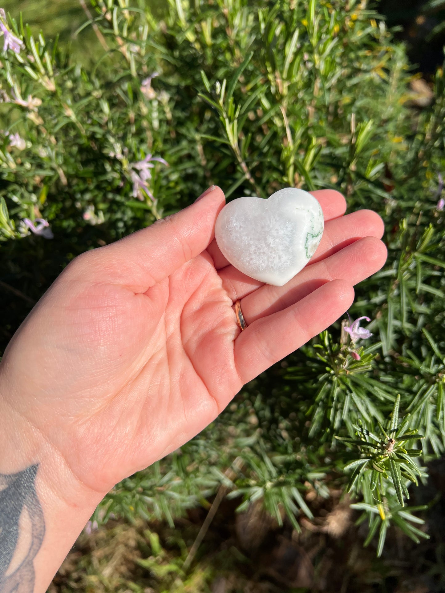 Tree Agate Heart