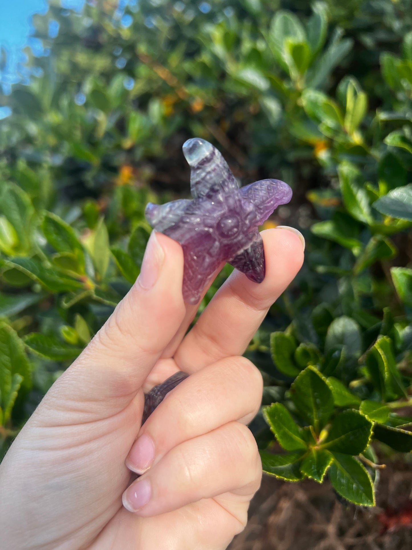 Candy Fluorite Starfish Carving