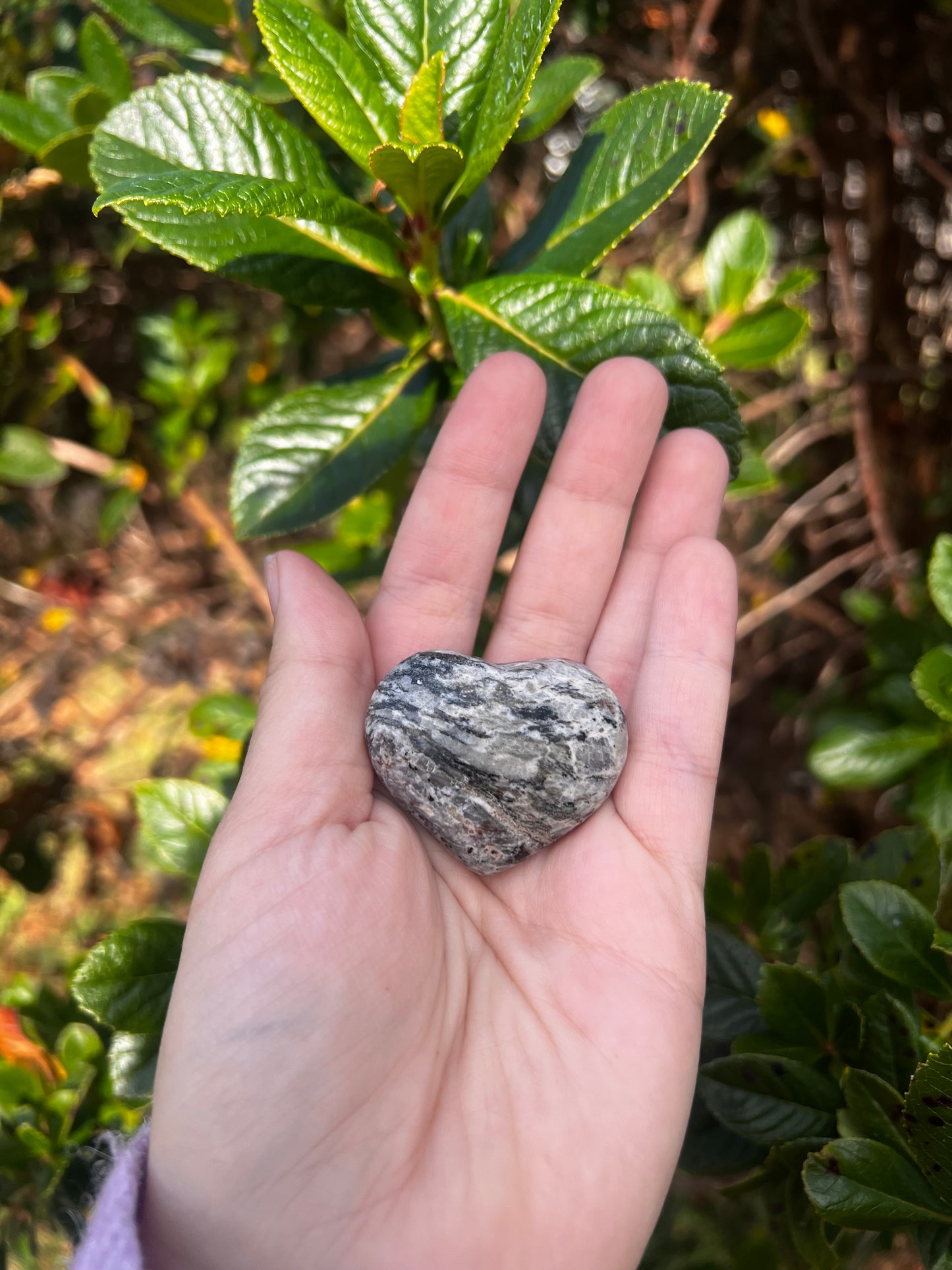 Zebra Jasper Heart