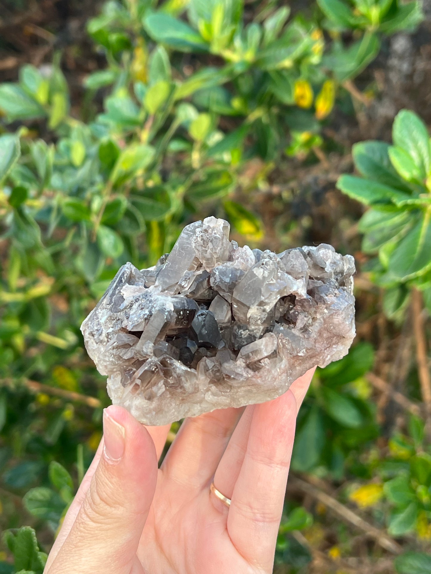 Smokey Quartz Cluster
