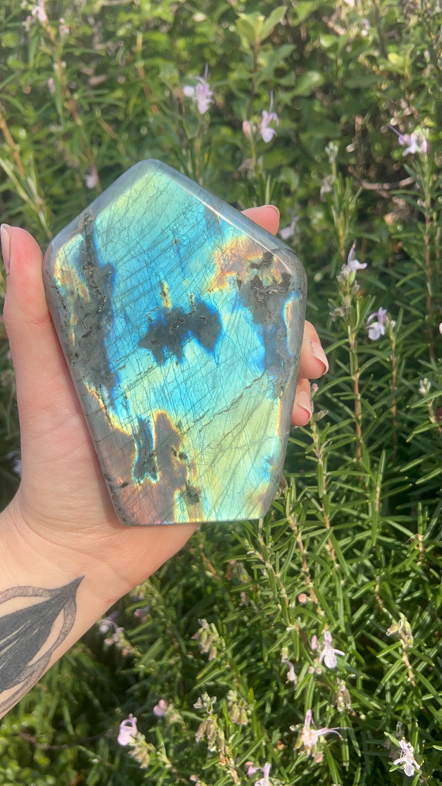 Labradorite Freeform