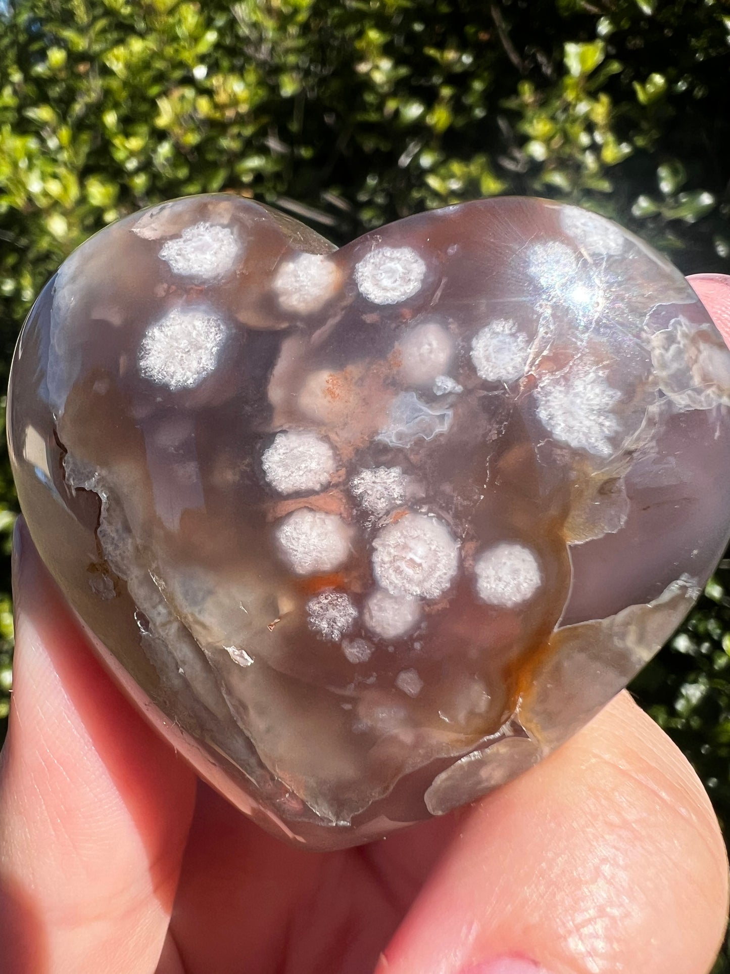 Black Flower Agate Heart