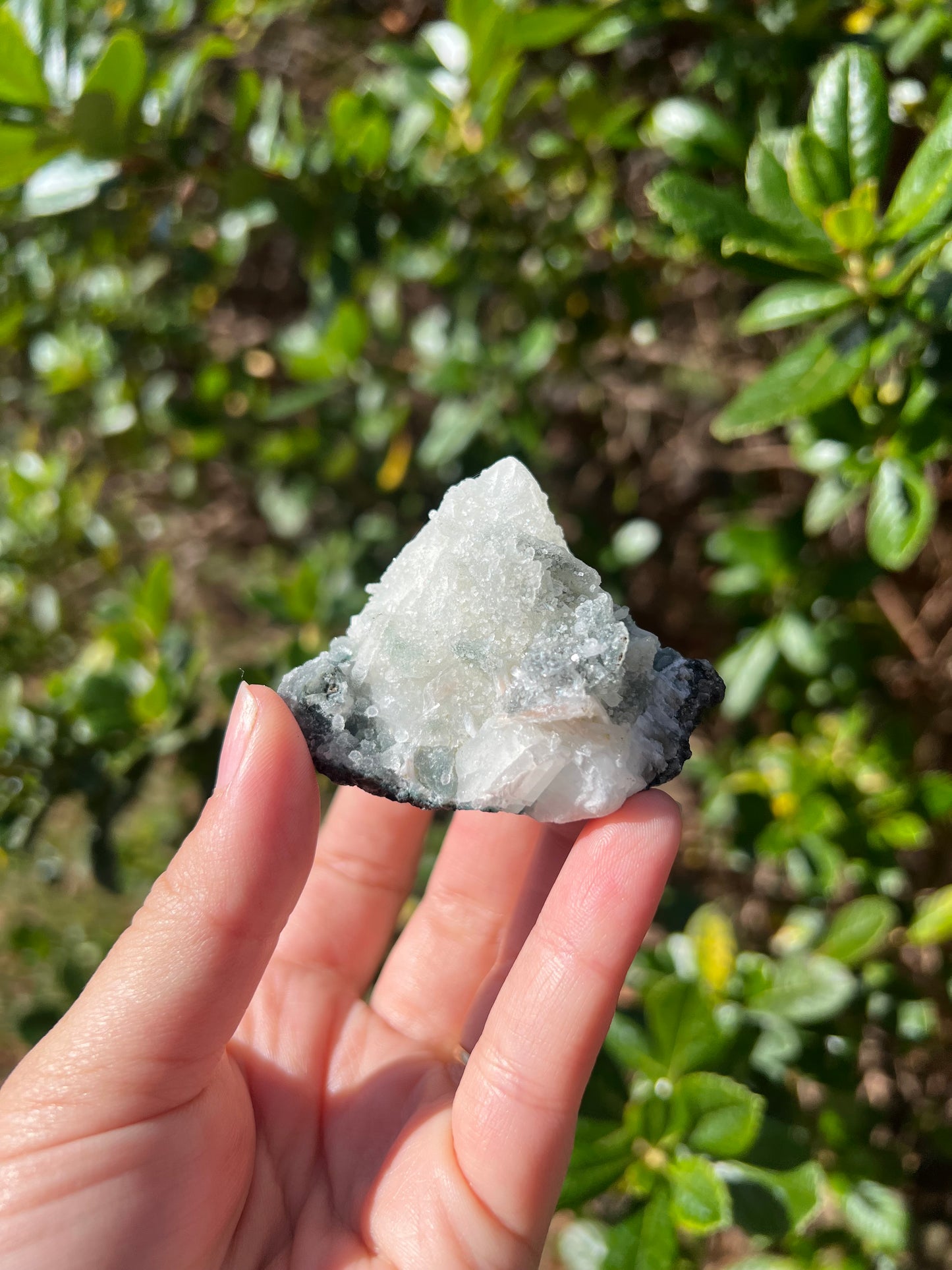 Apophyllite Cluster