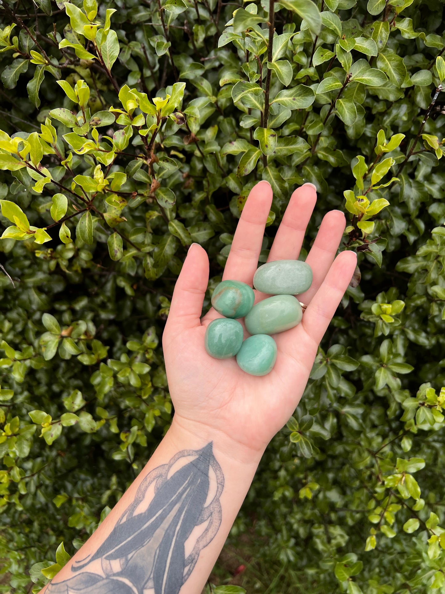 Green Aventurine Tumbles