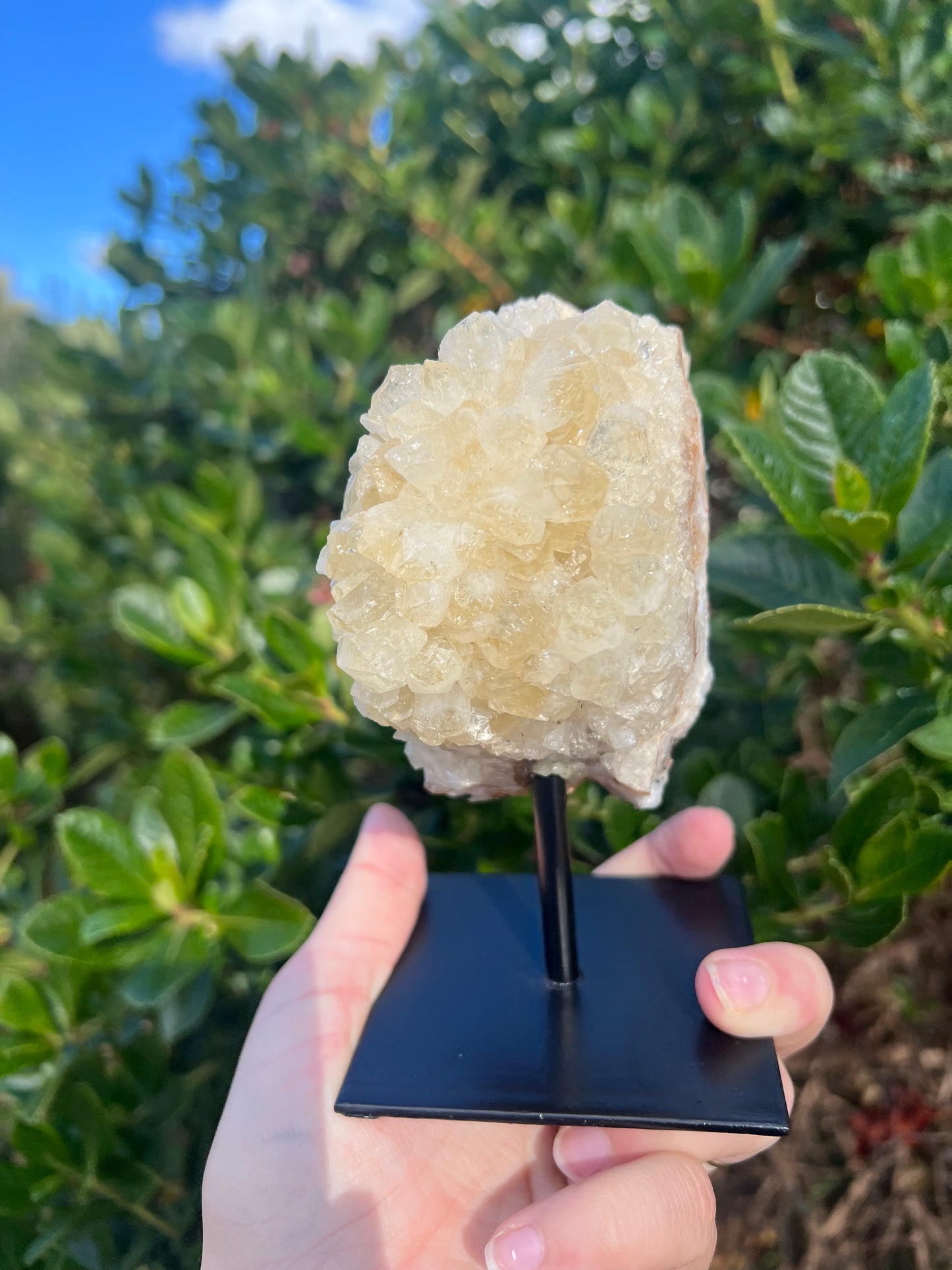 Citrine Cluster on Stand (HTA)