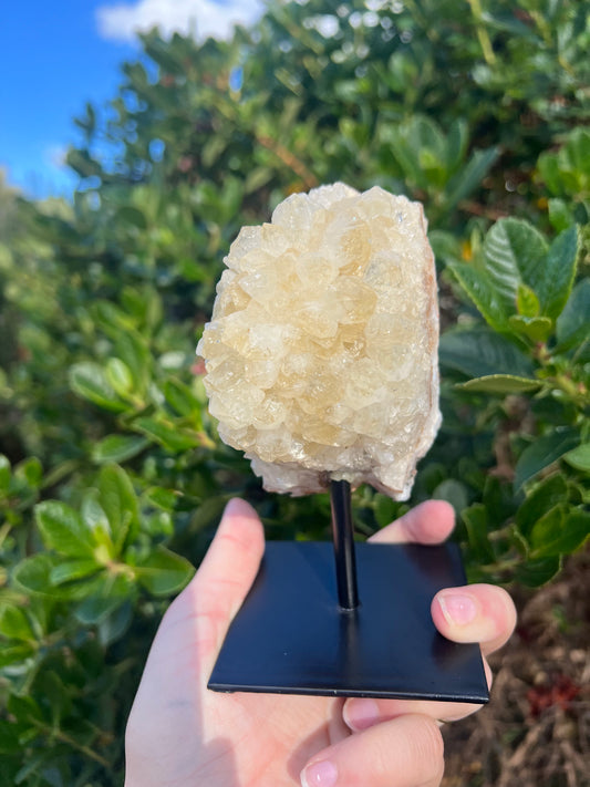 Citrine Cluster on Stand (HTA)