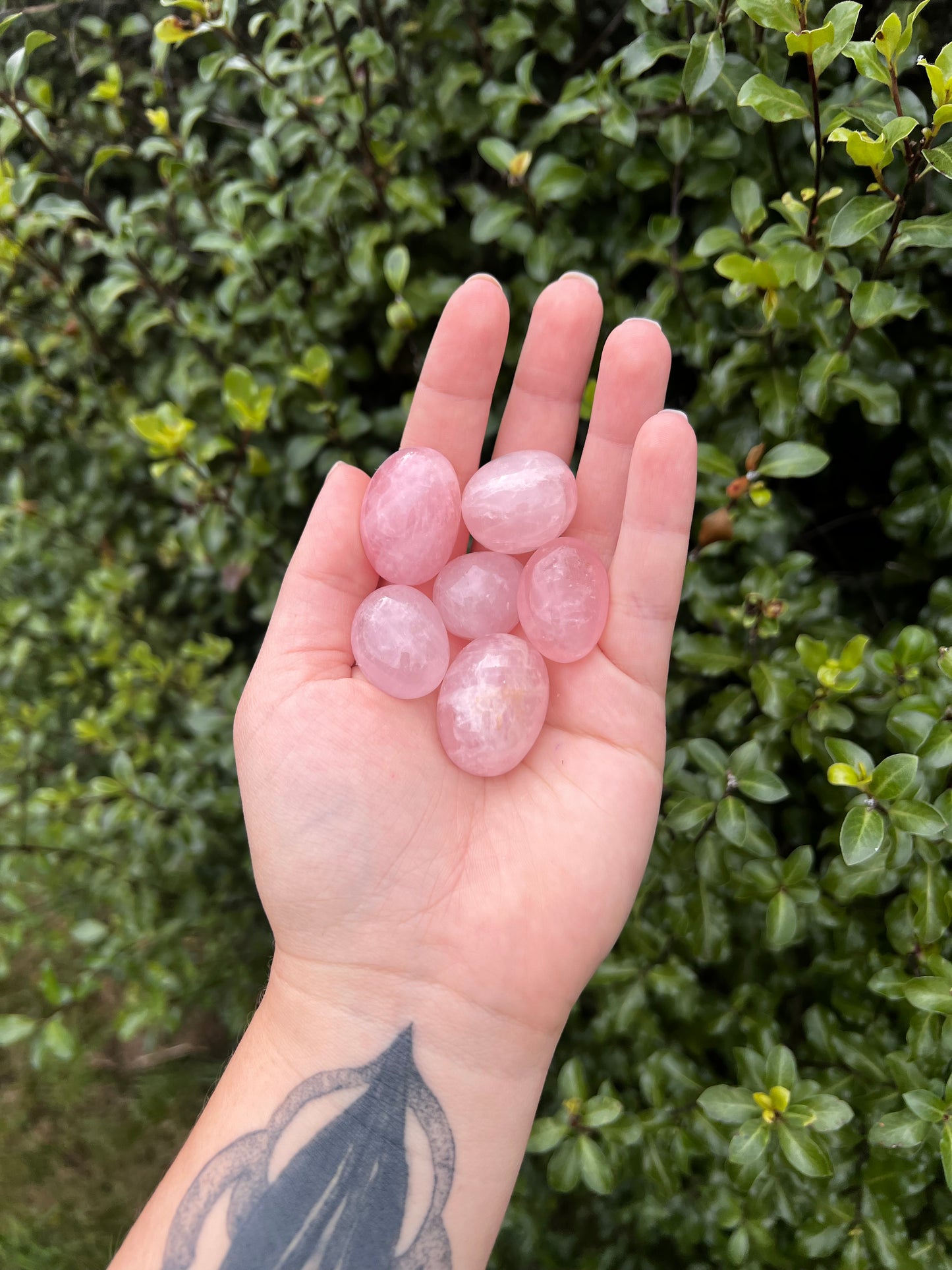 Rose Quartz Tumbles