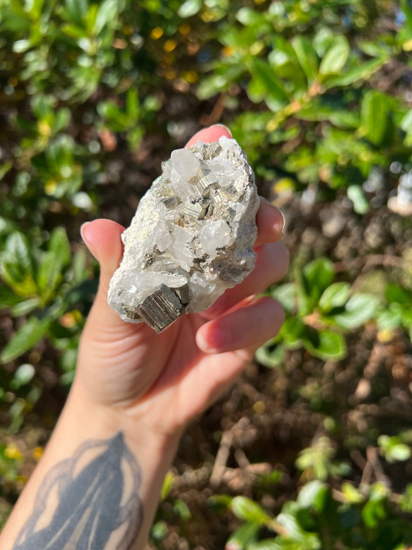 Clear Quartz & Pyrite Cluster