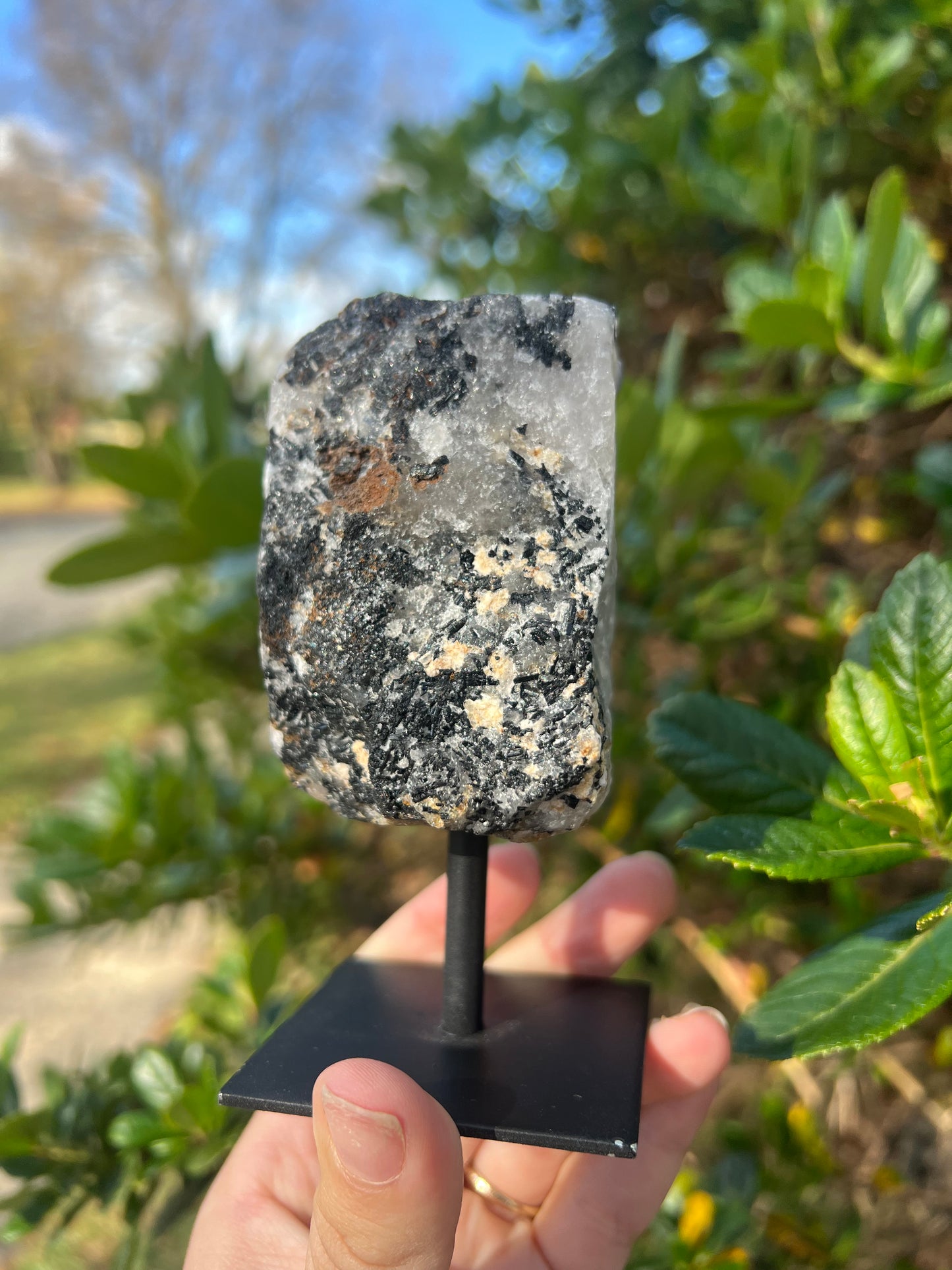 Raw Black Tourmaline in Quartz on Stand