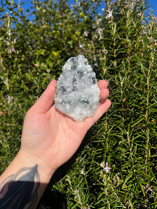Apophyllite Cluster