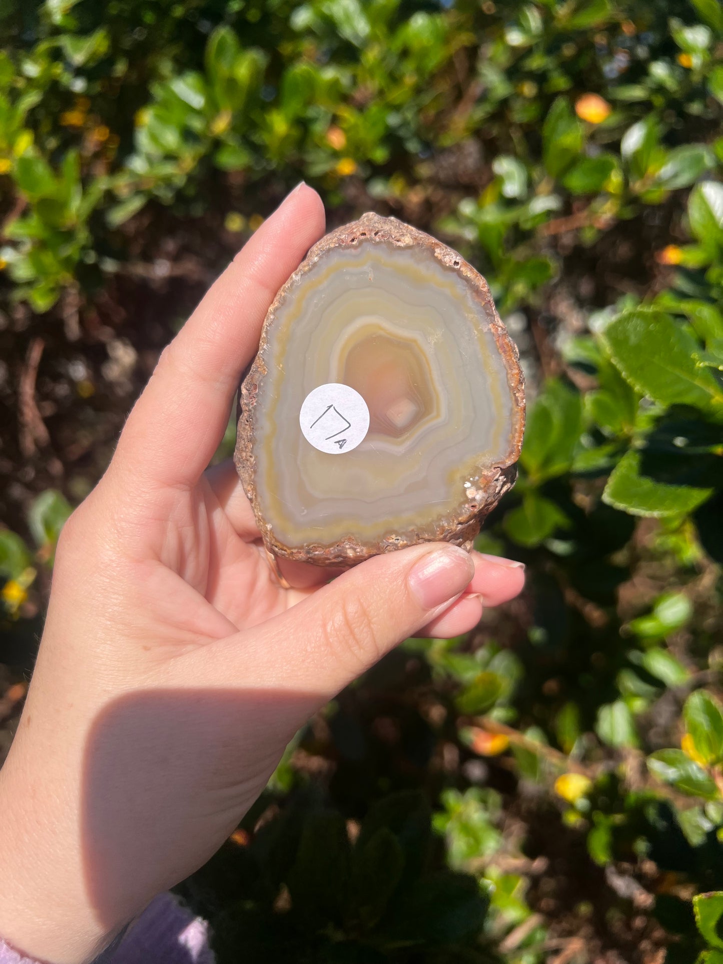 Agate Slab