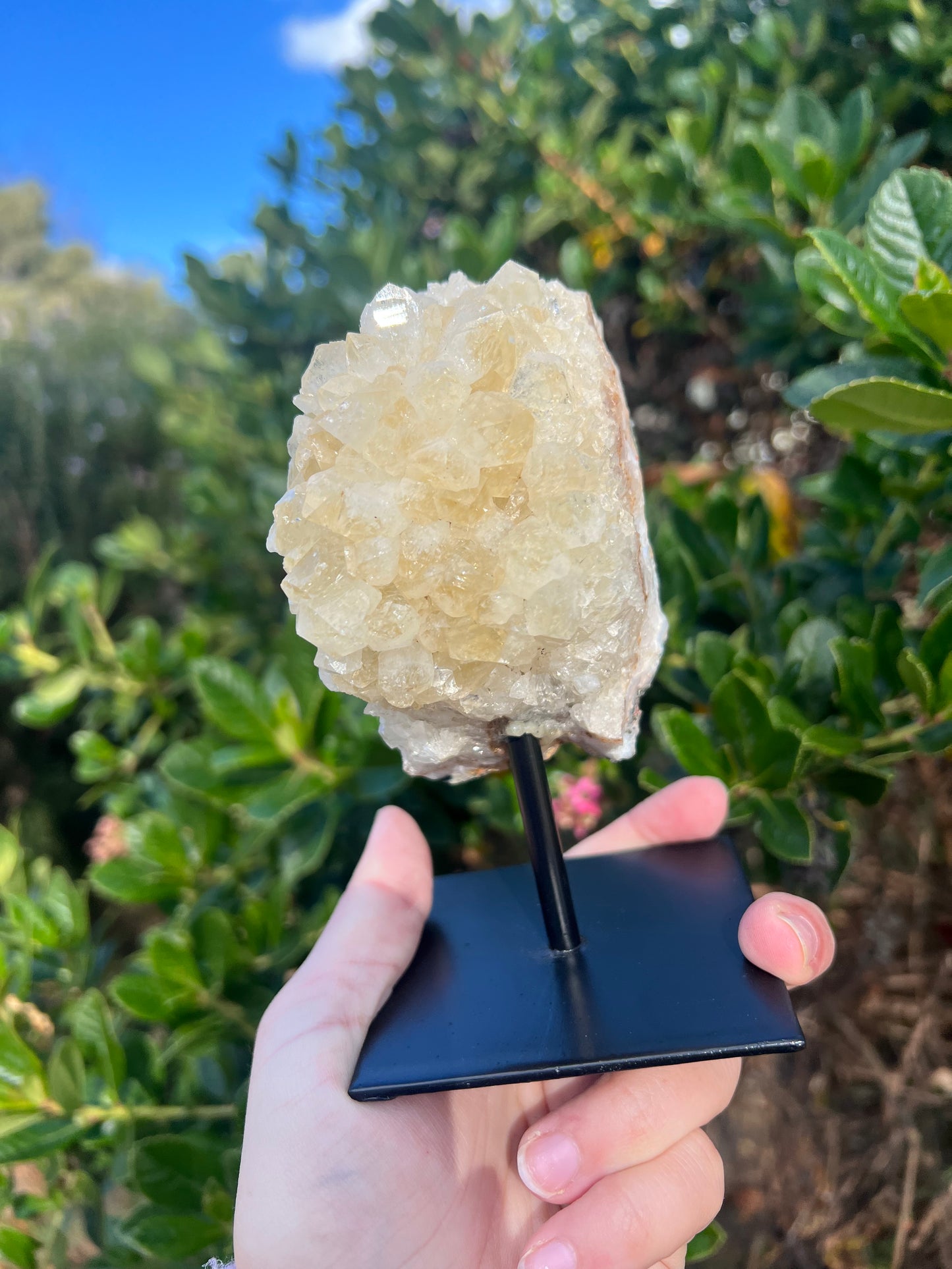 Citrine Cluster on Stand (HTA)