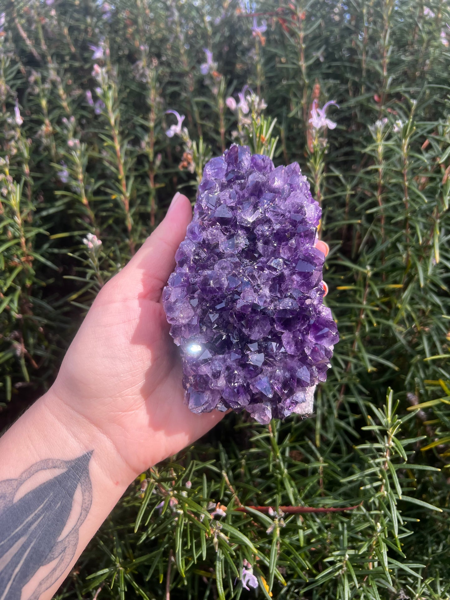 Amethyst Cluster- Statement Piece (From Uruguay)