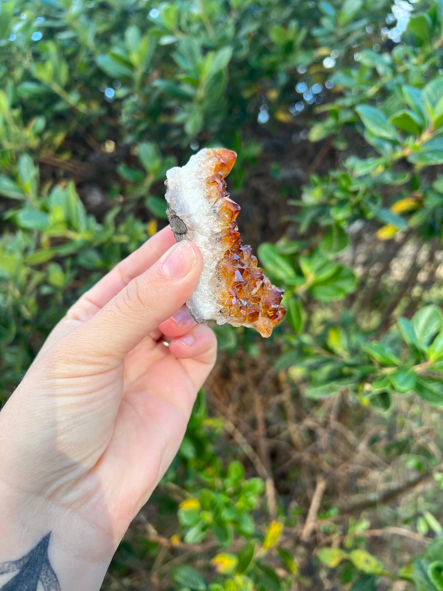 Citrine Cluster (HTA)
