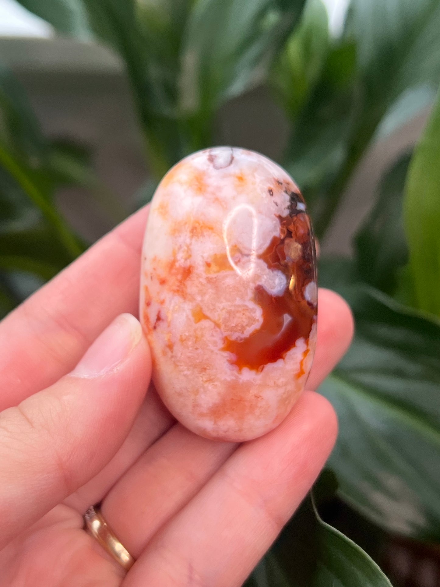 Carnelian Flower Agate Palm Stone