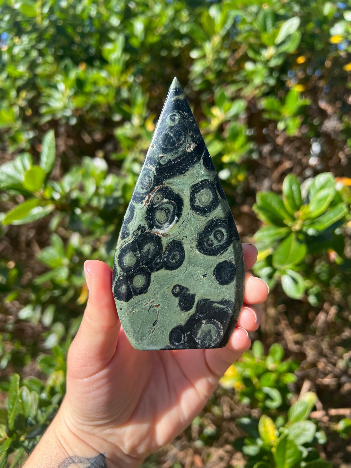 Kambaba Jasper Flame