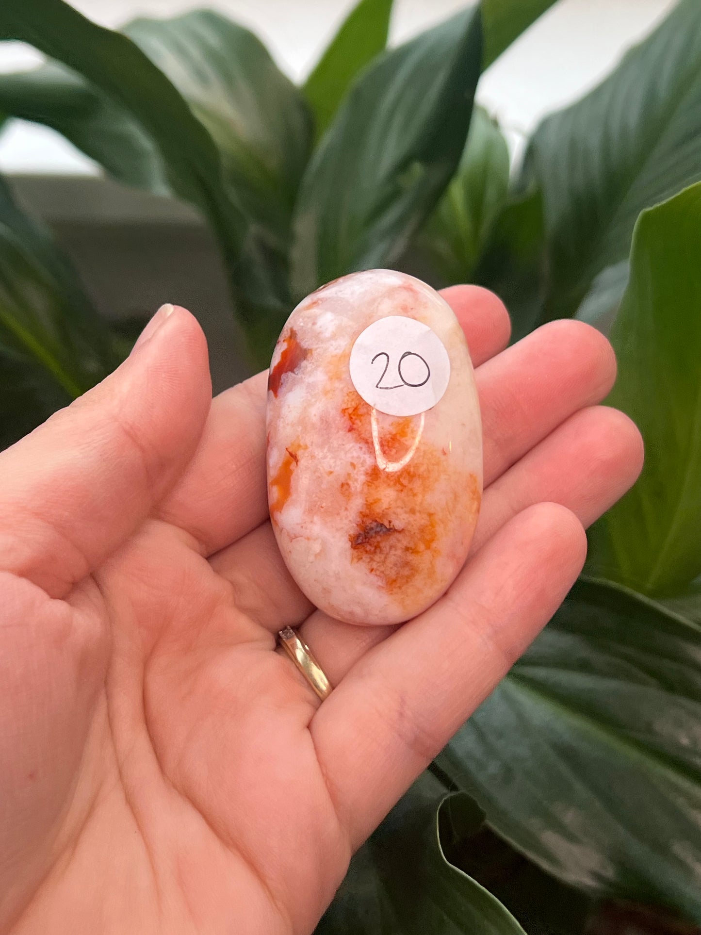 Carnelian Flower Agate Palm Stone
