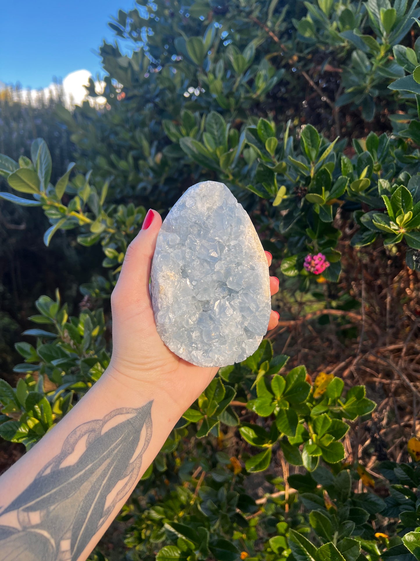 Celestite Egg- Statement Piece