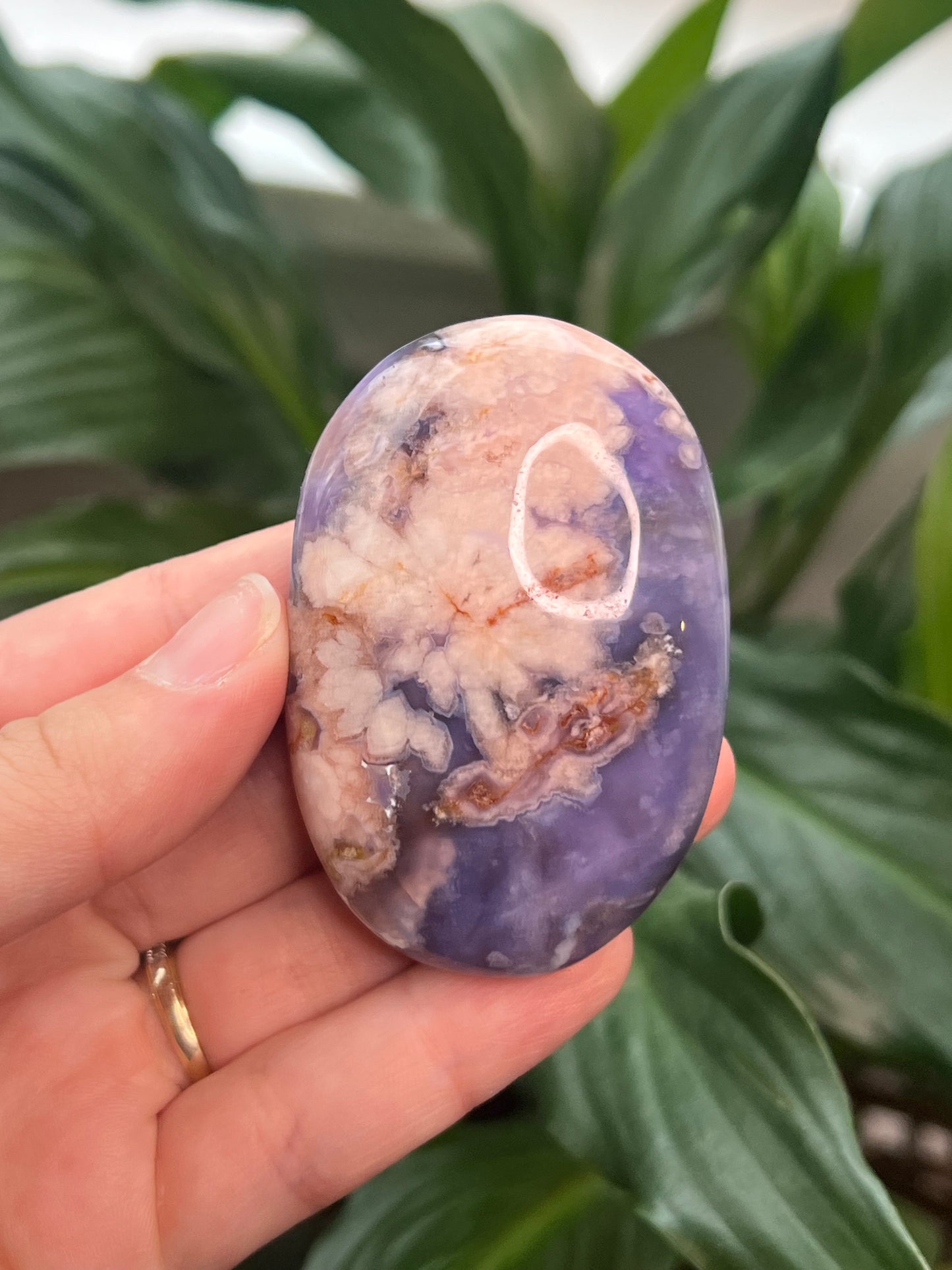 Blue Flower Agate Palmstone