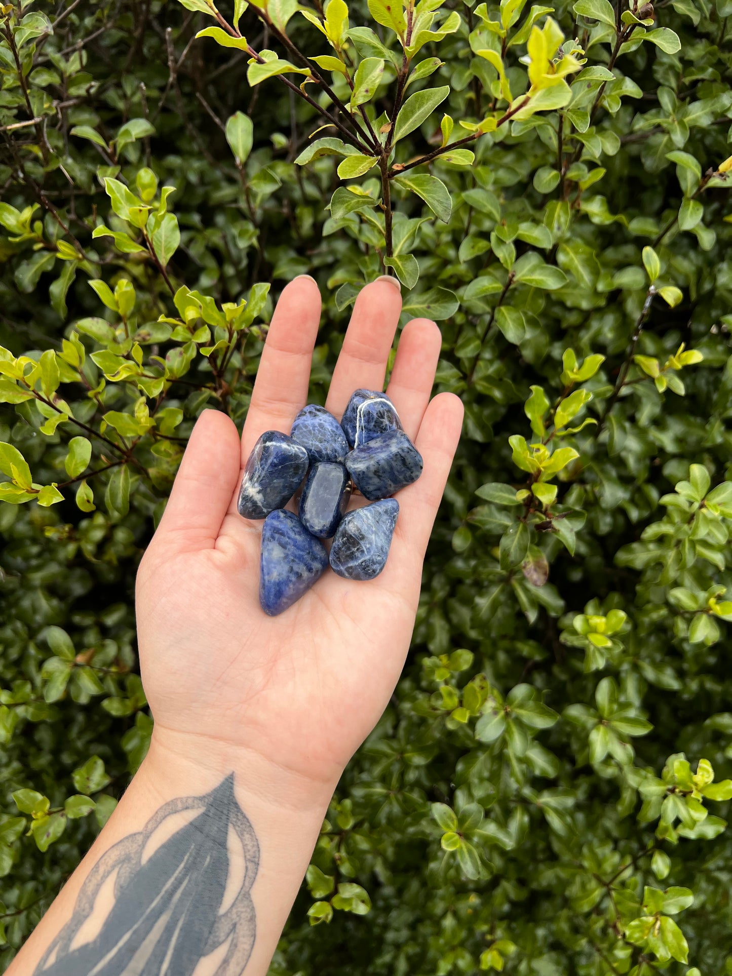Sodalite Tumbles