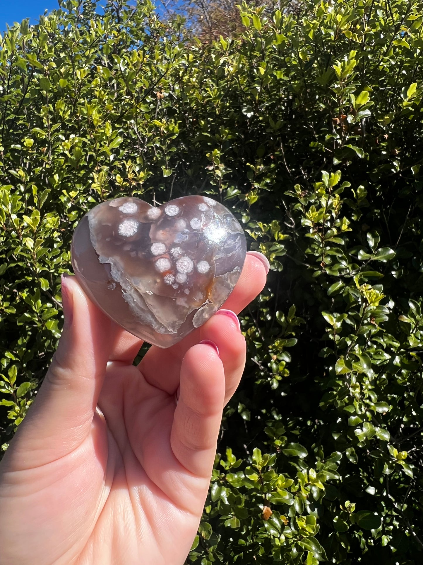 Black Flower Agate Heart