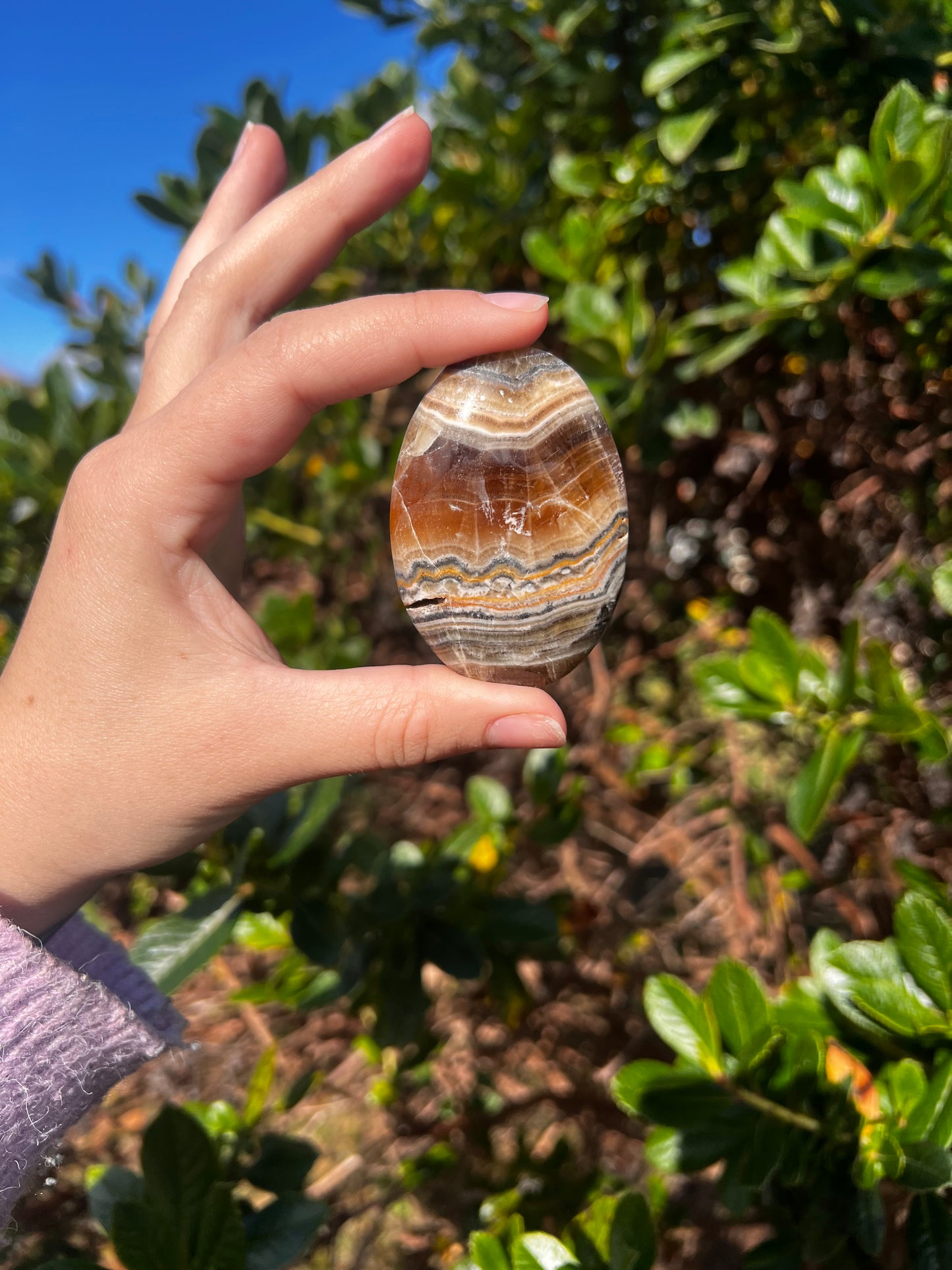 Bumblebee & Zebra Jasper Palm Stone