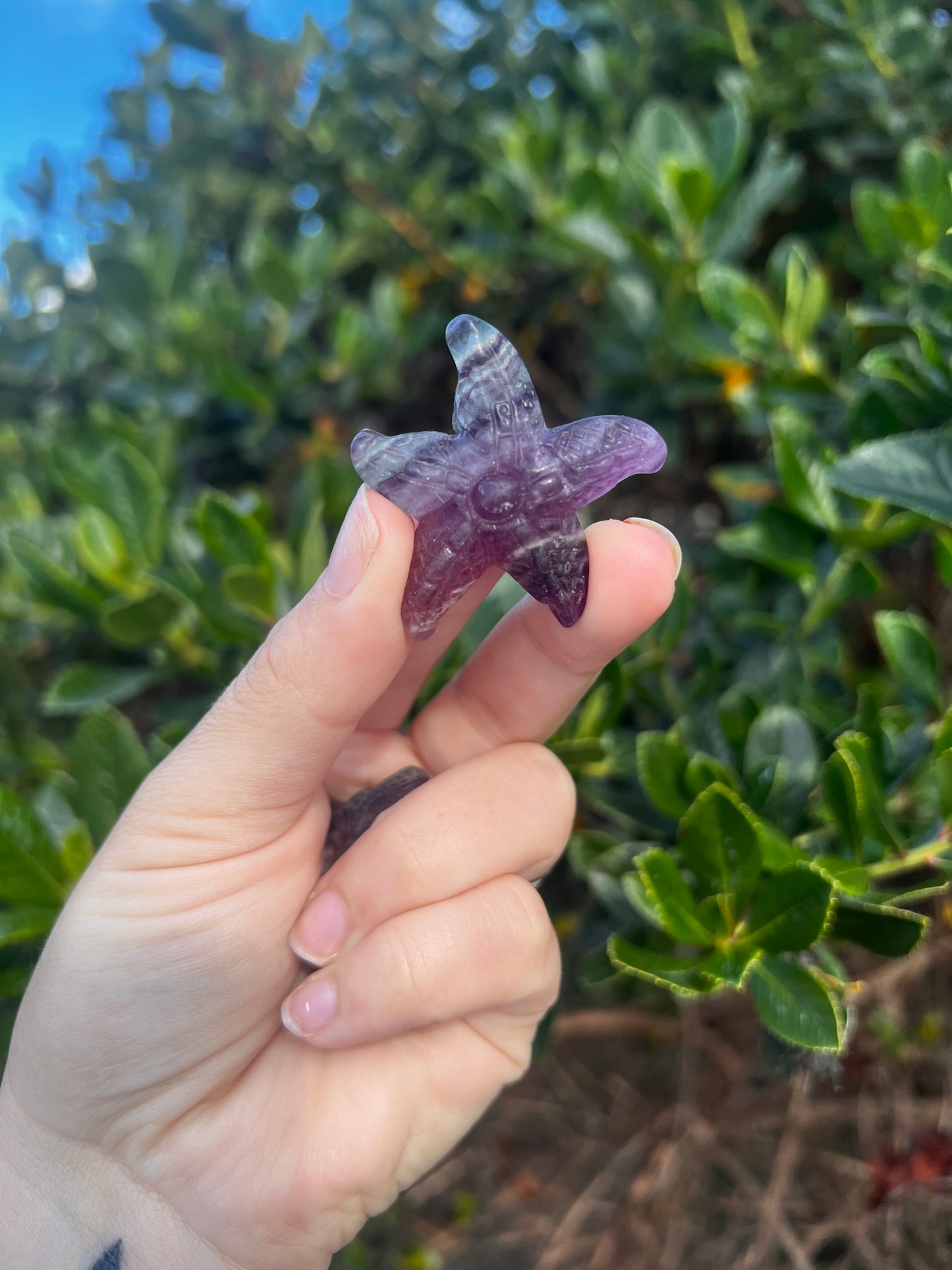 Candy Fluorite Starfish Carving