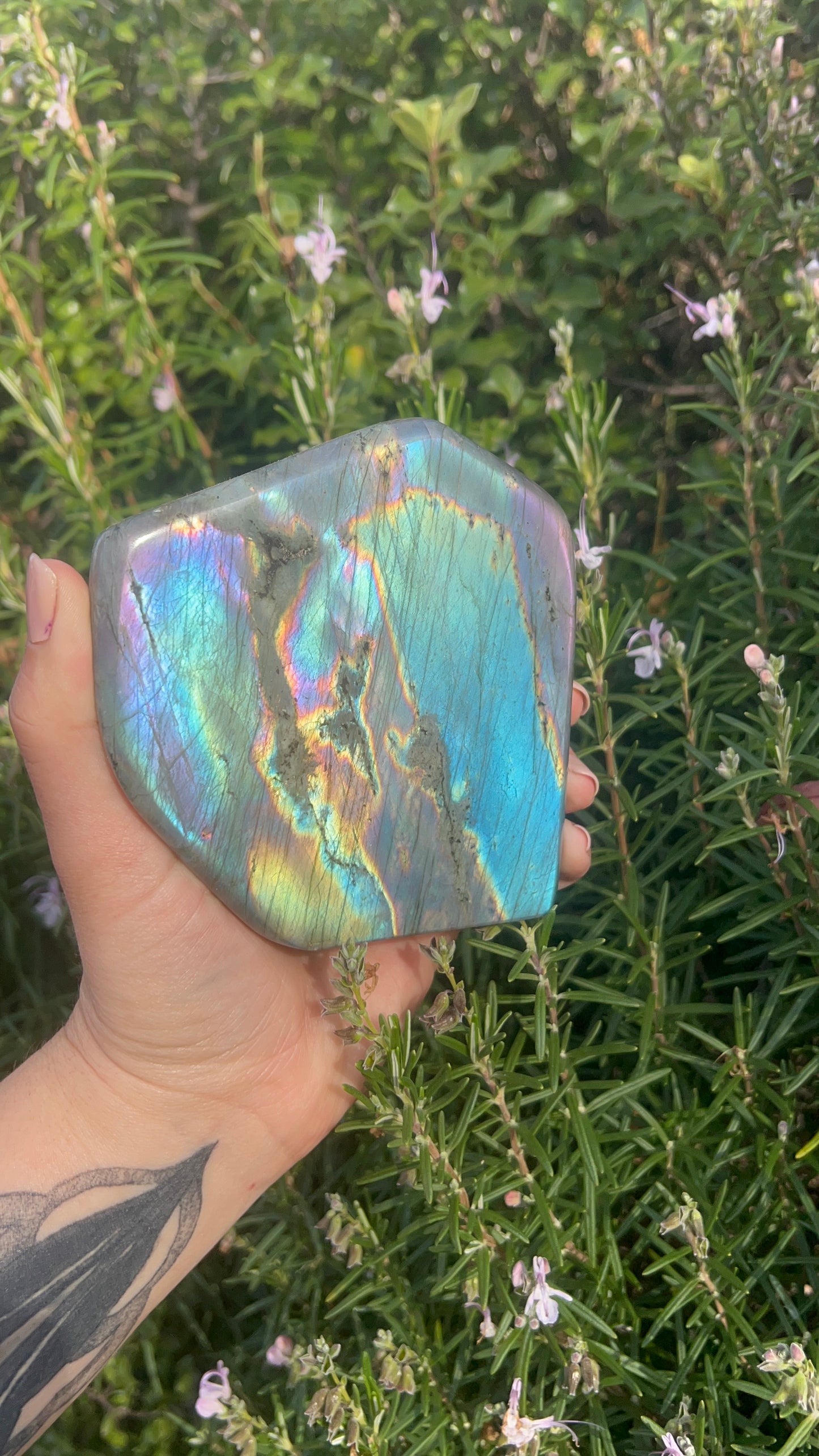 Labradorite Freeform