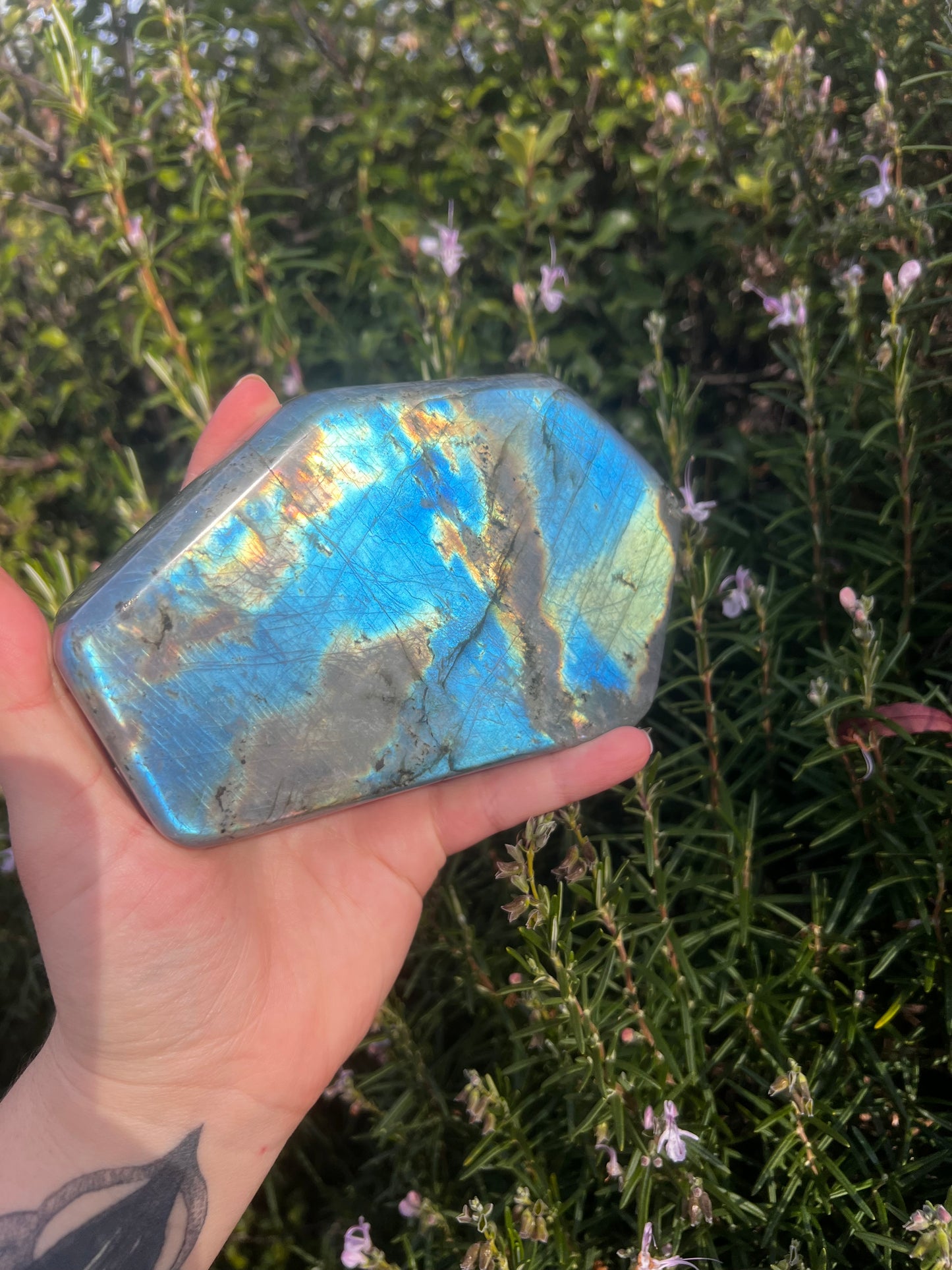 Labradorite Freeform