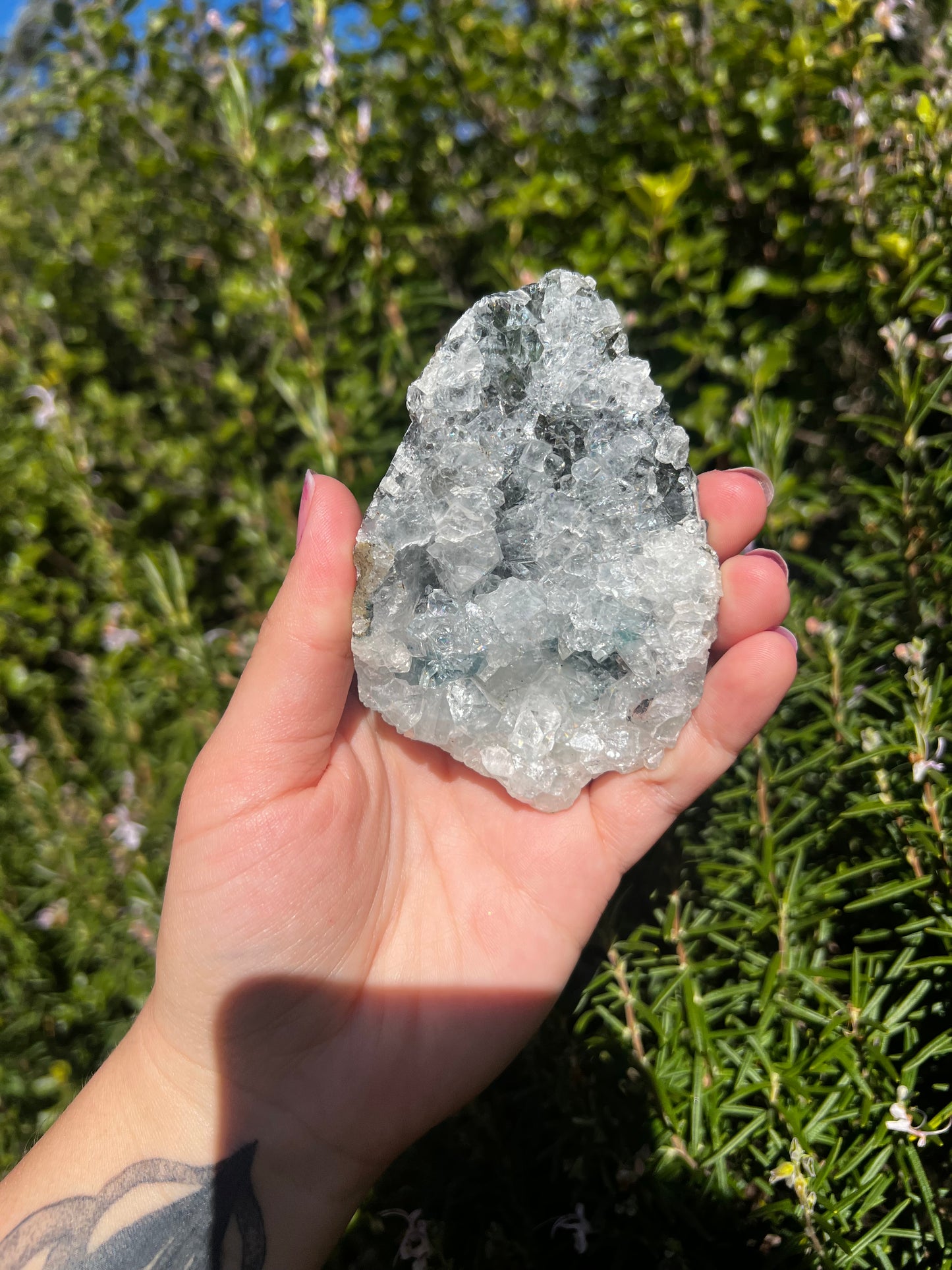 Apophyllite Cluster