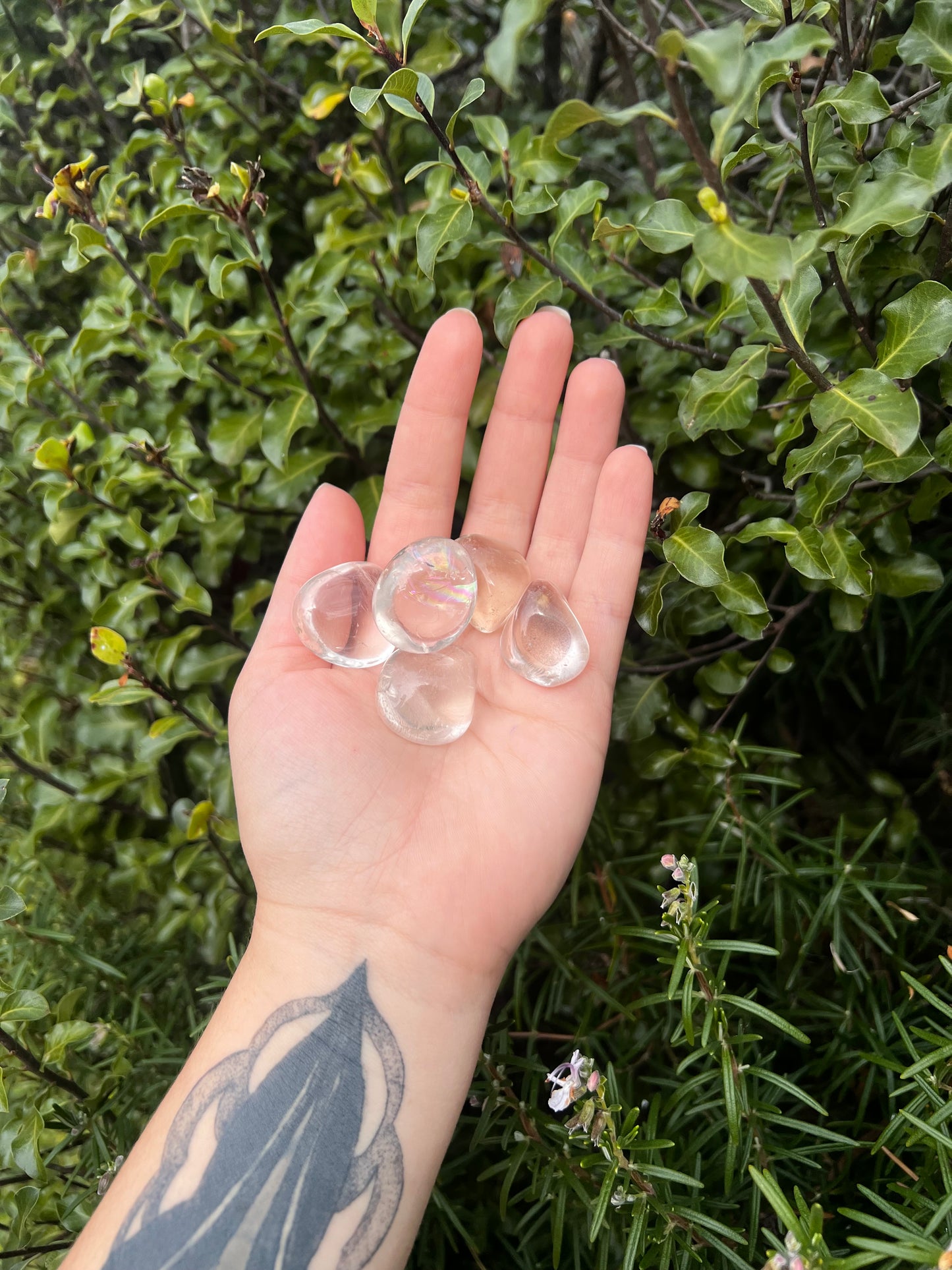 Clear Quartz Tumbles