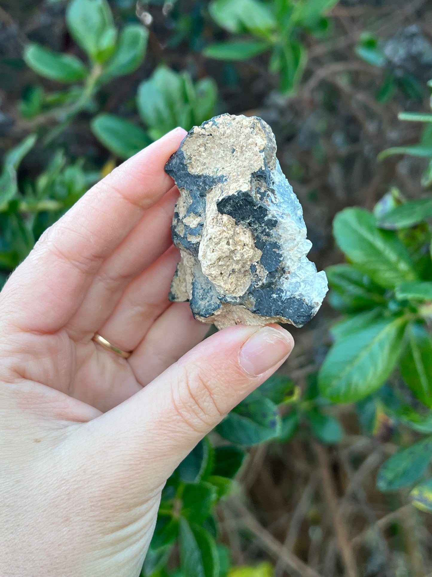 Smokey Quartz Cluster