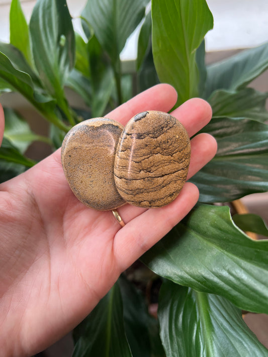 Picture Jasper Palm Stone