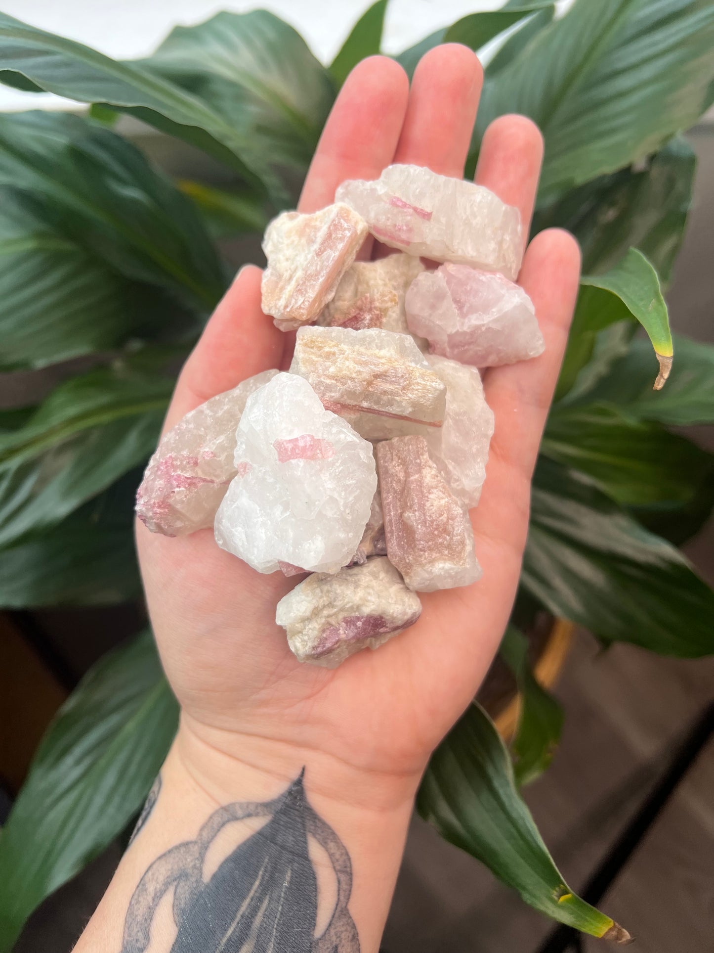 Pink Tourmaline in Quartz Rough