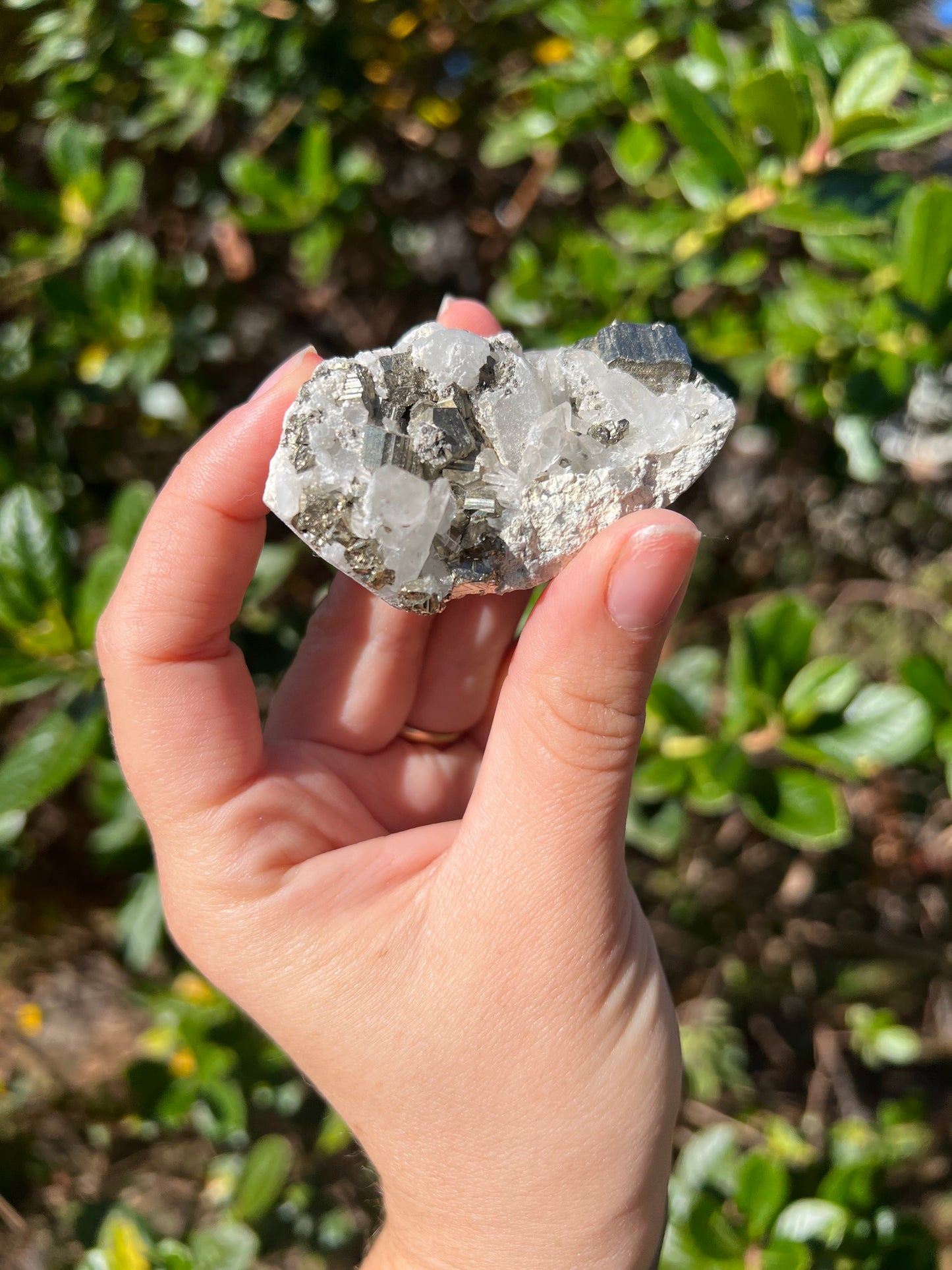 Clear Quartz & Pyrite Cluster