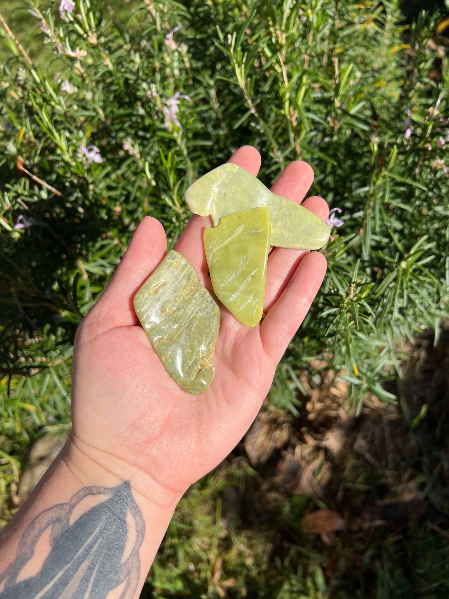 Serpentine Slab Mini