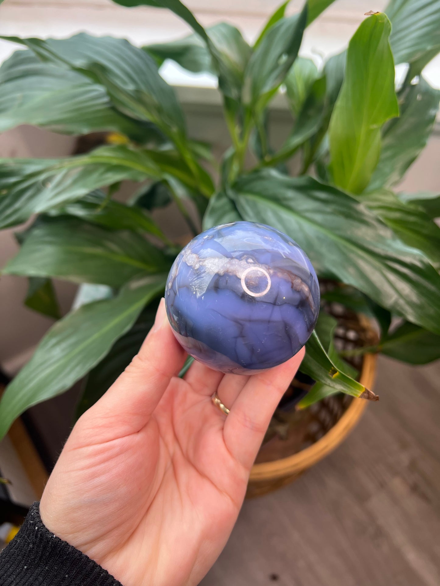 Blue Flower Agate Sphere