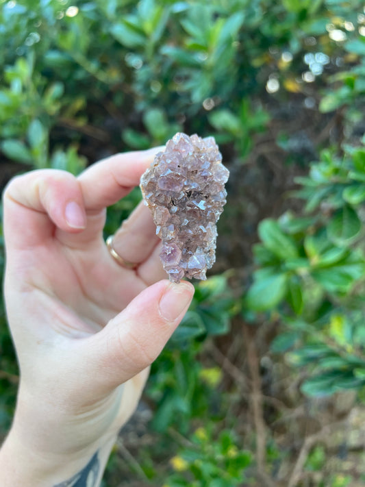 Amethyst Cluster