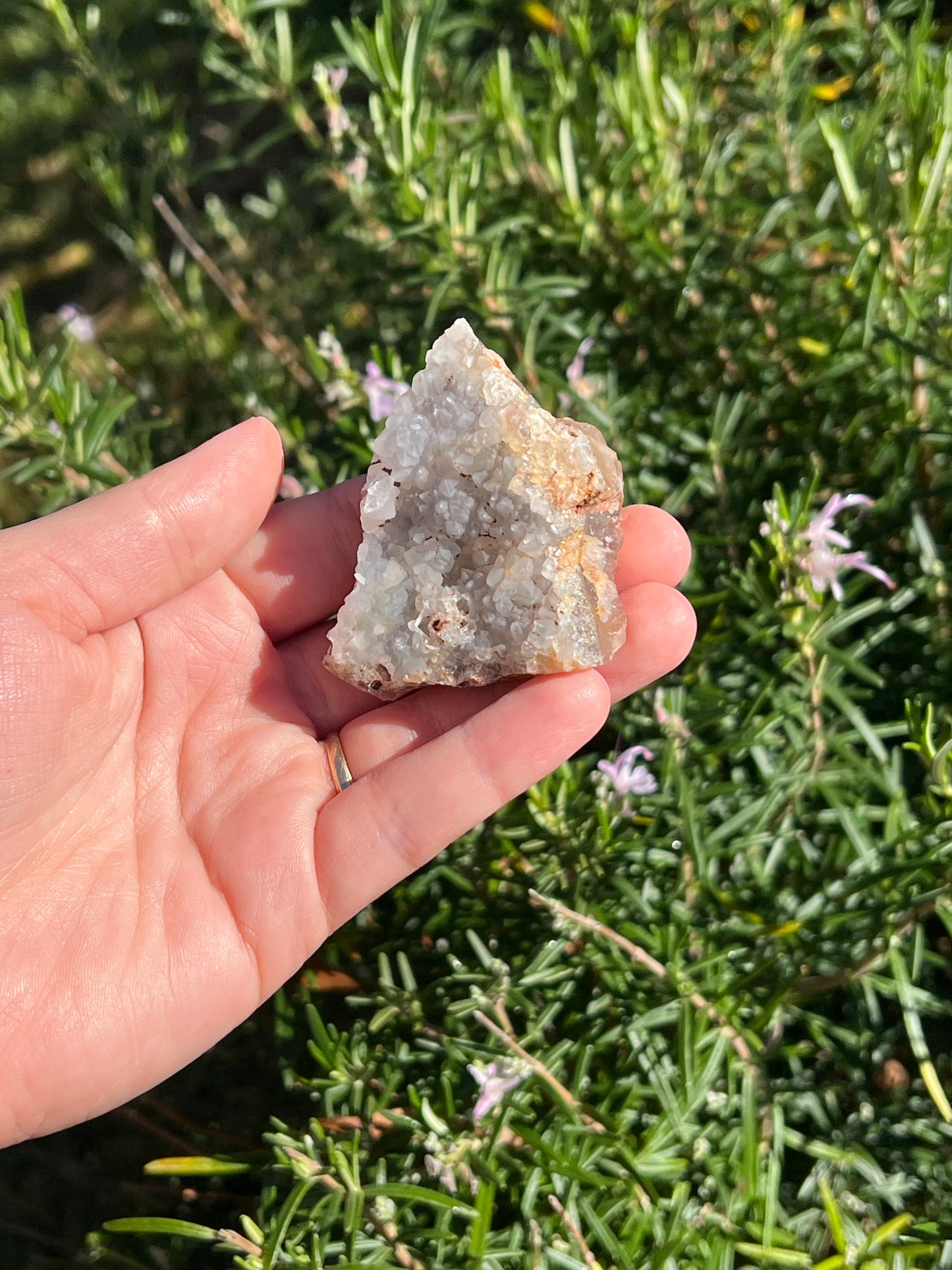 Clear Quartz Cluster