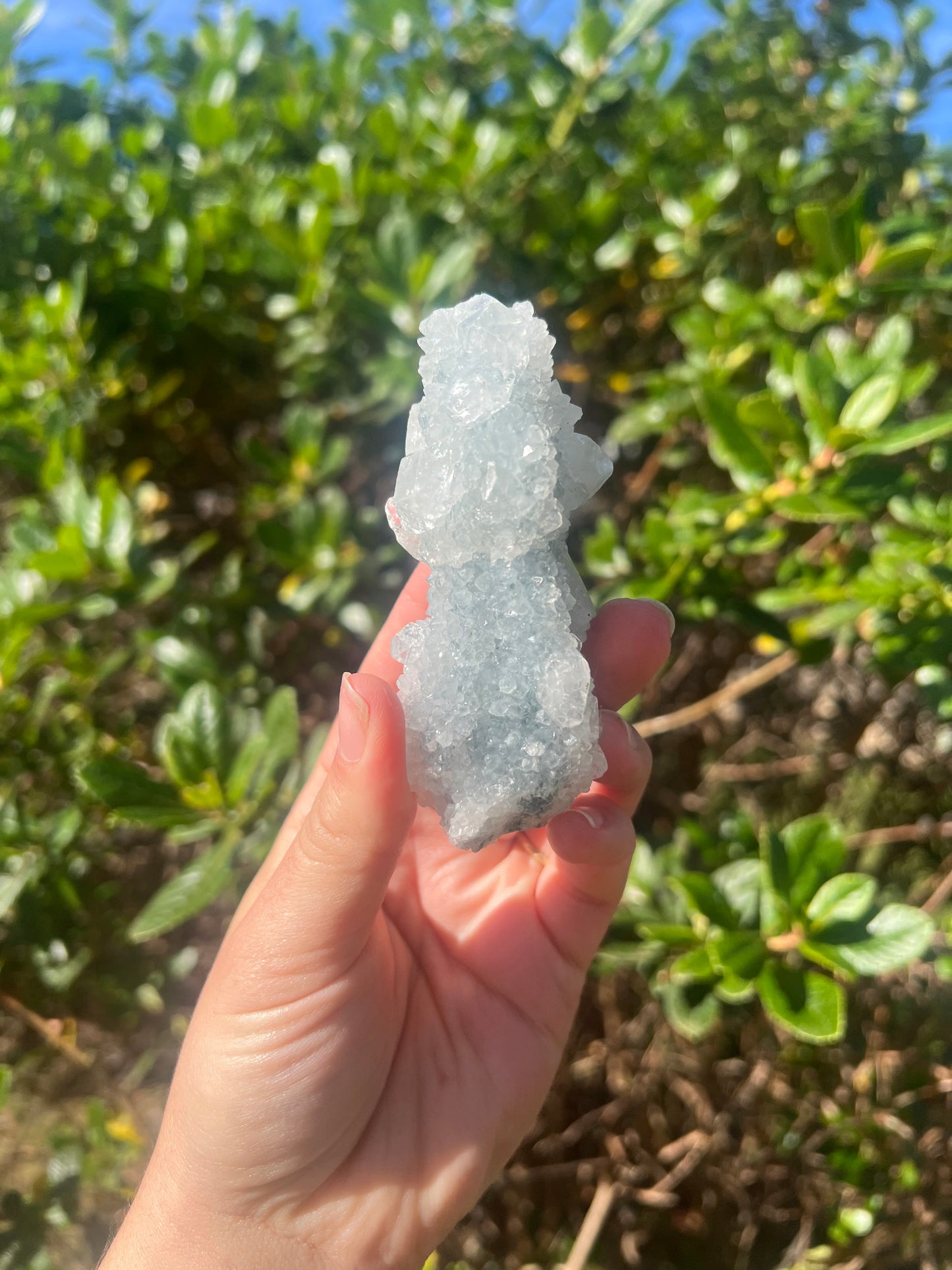 Apophyllite Cluster