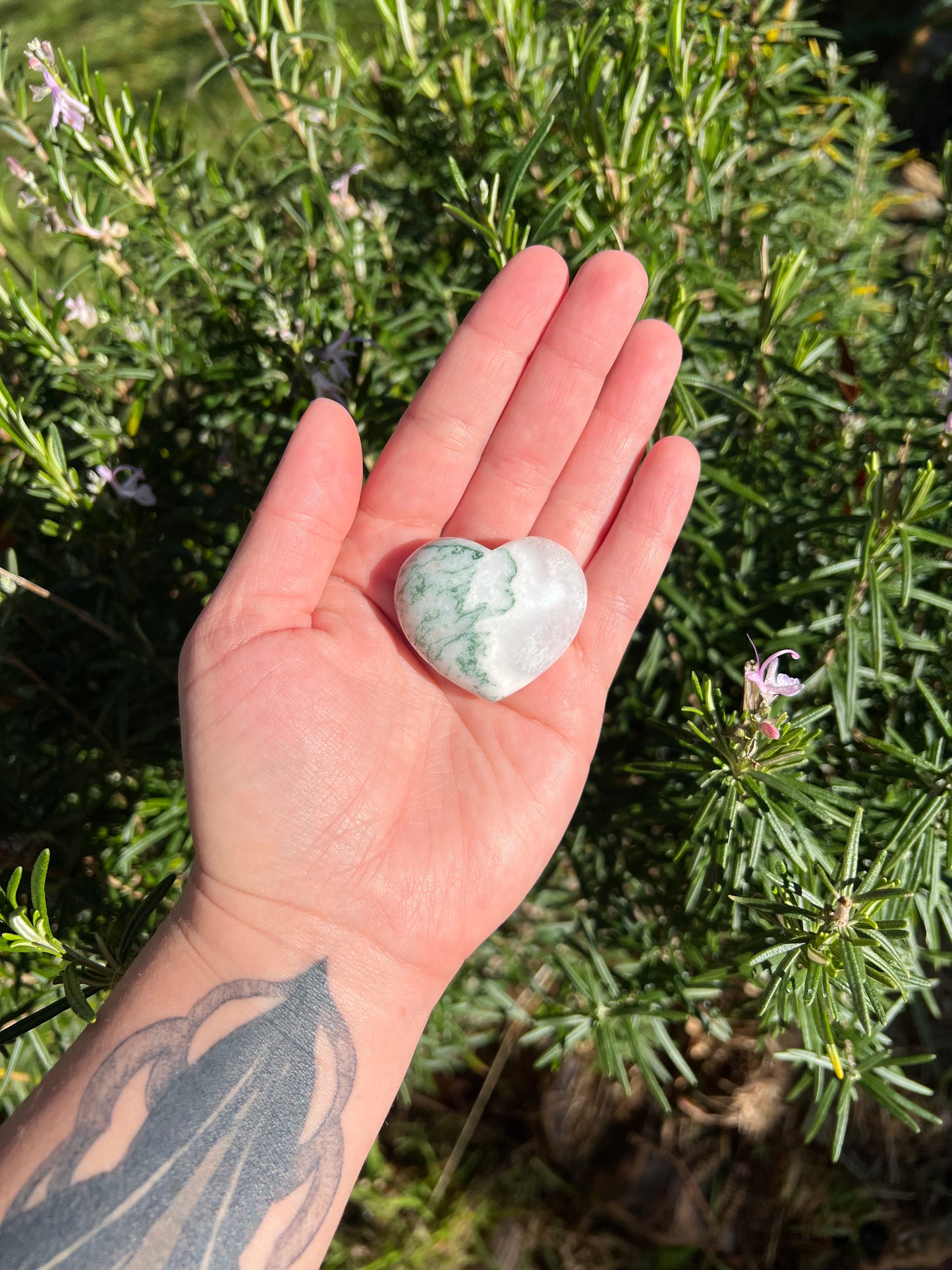 Tree Agate Heart