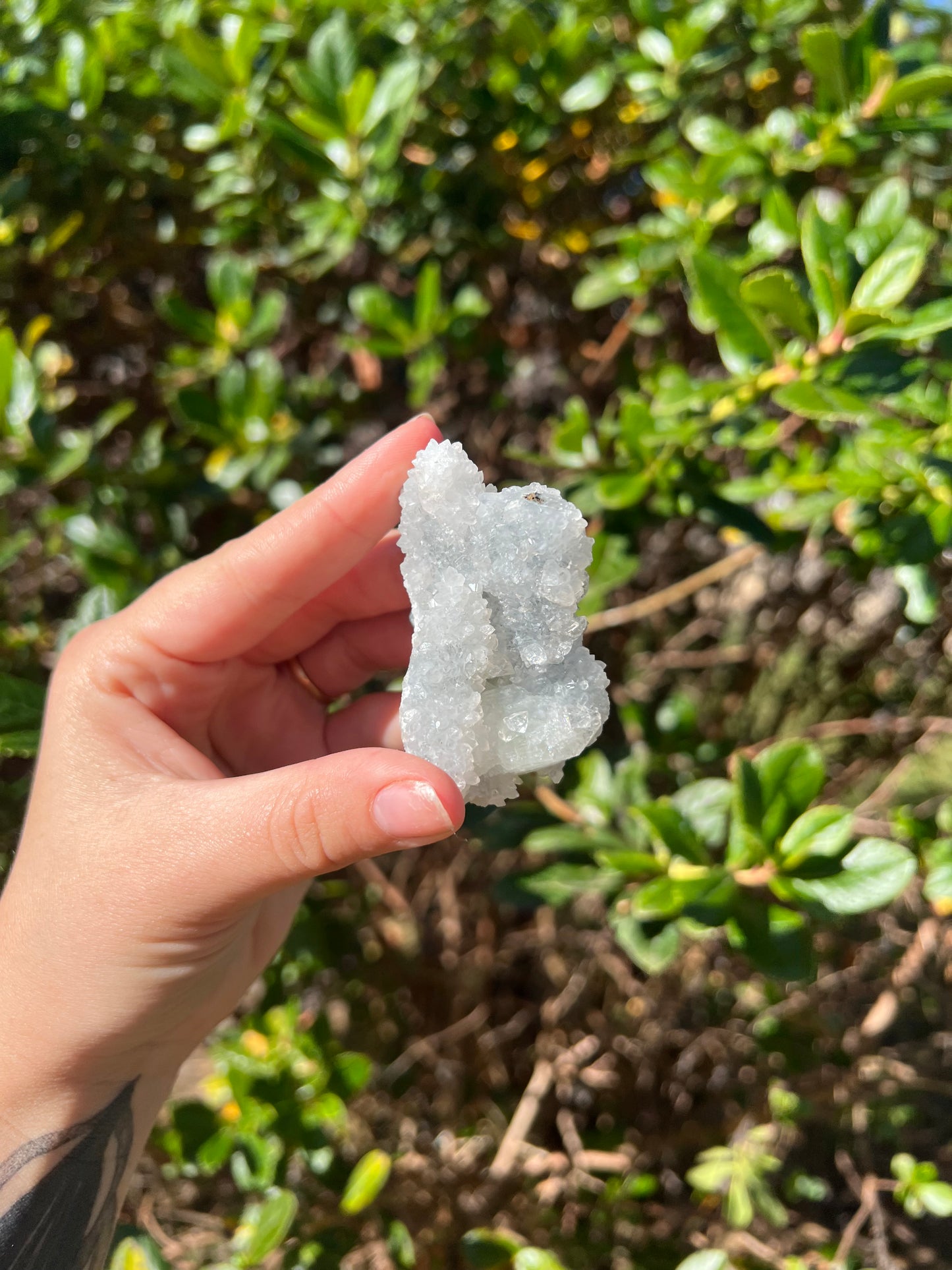 Apophyllite Cluster
