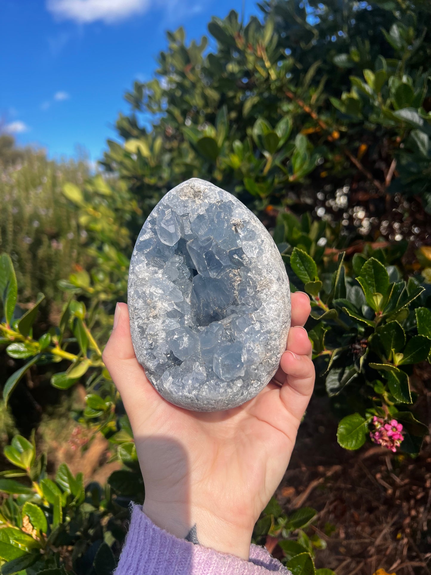 Celestite Egg- Statement Piece