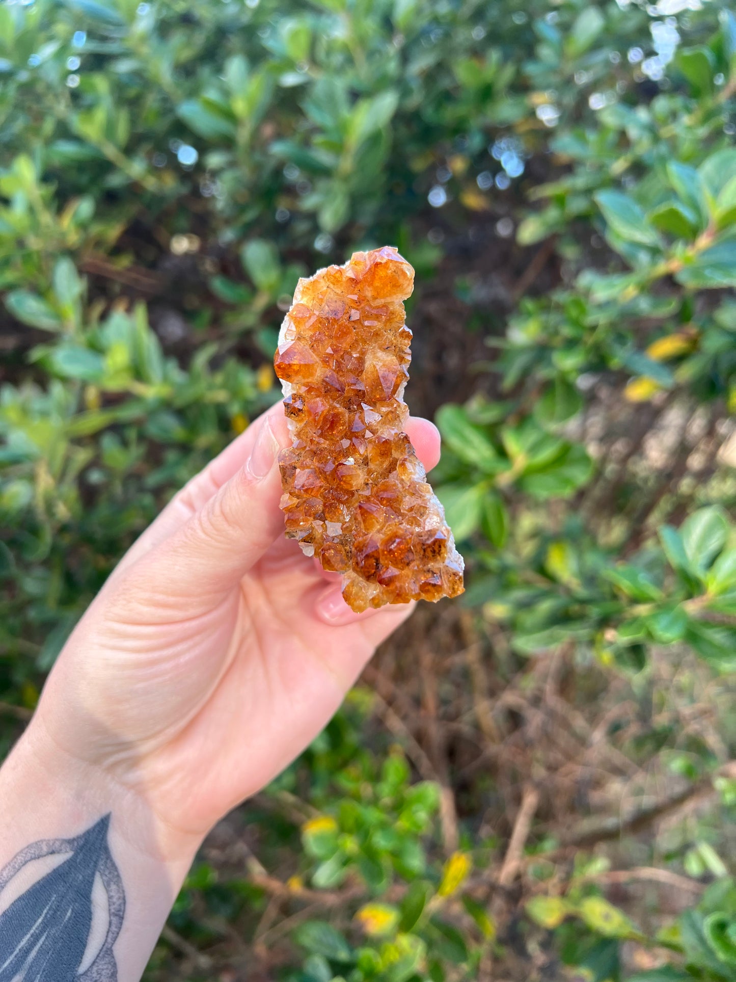 Citrine Cluster (HTA)