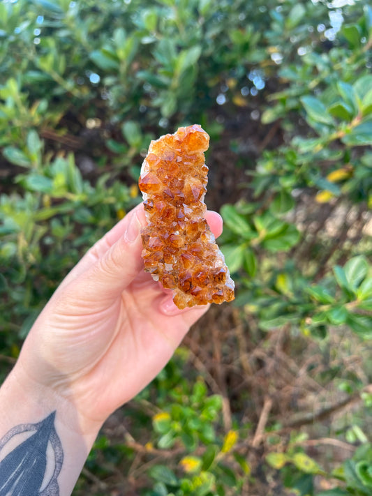 Citrine Cluster (HTA)