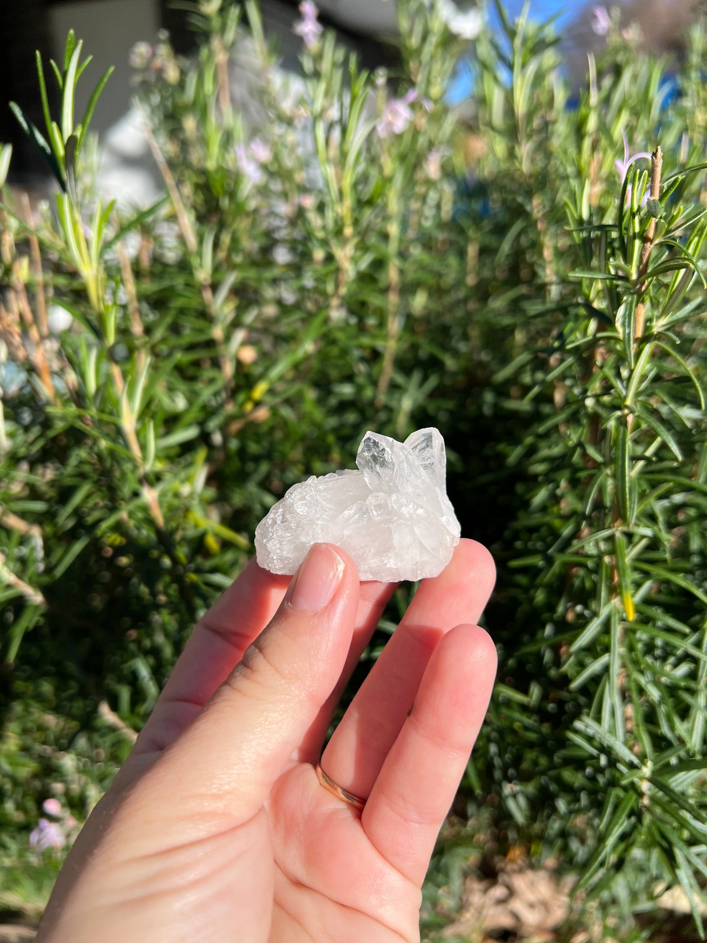 Clear Quartz Cluster