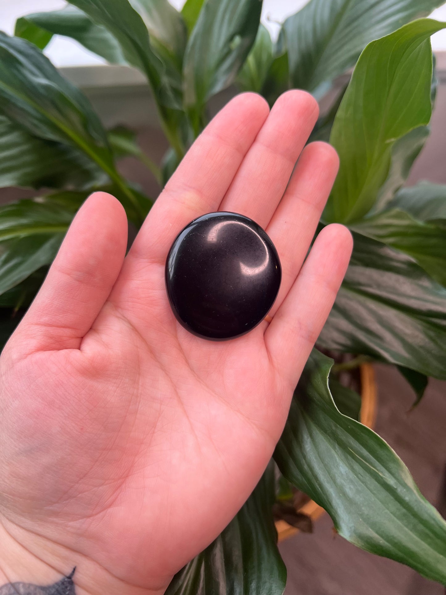 Black Obsidian Palm Stone
