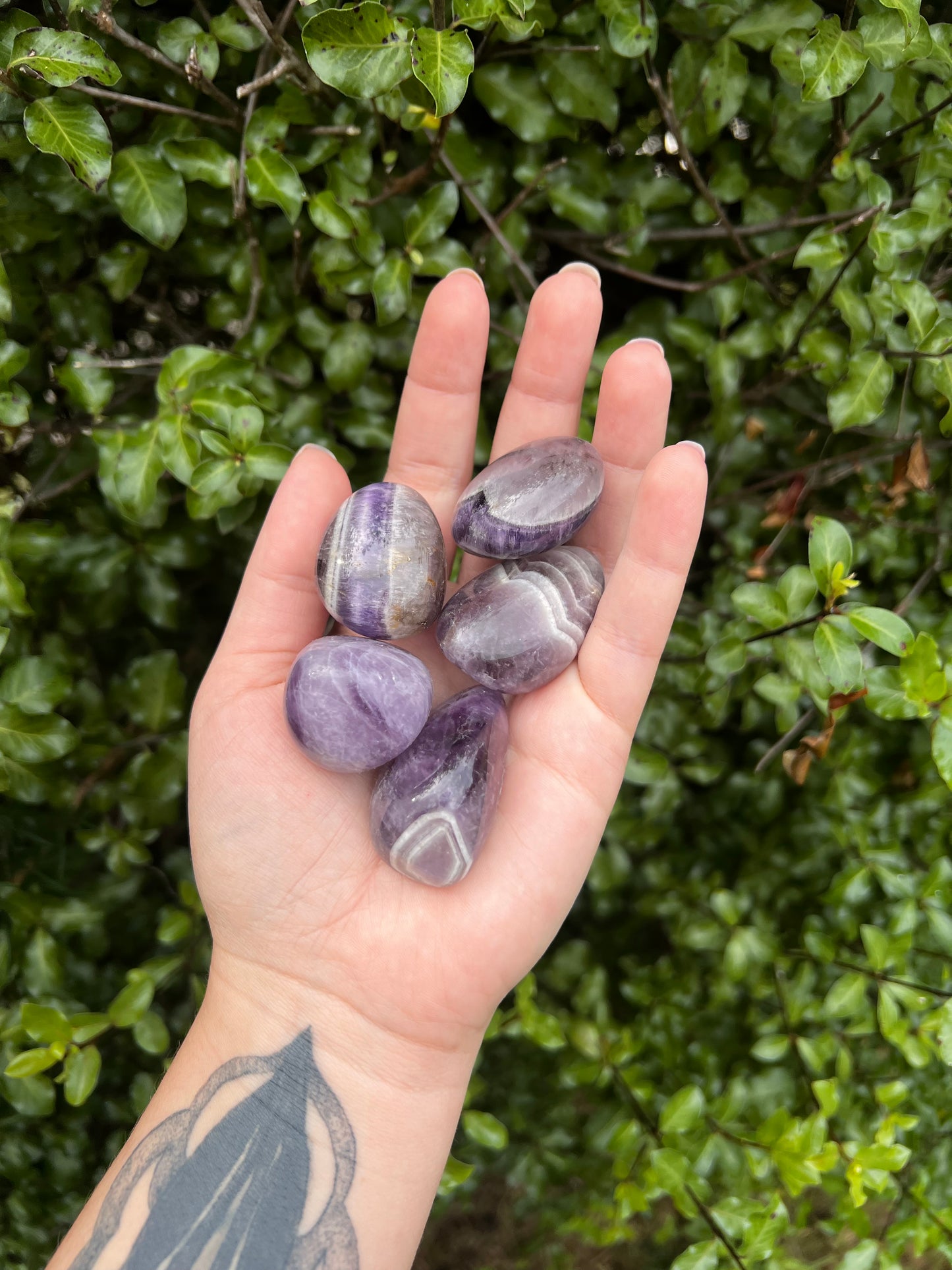 Amethyst Tumbles (Chevron)